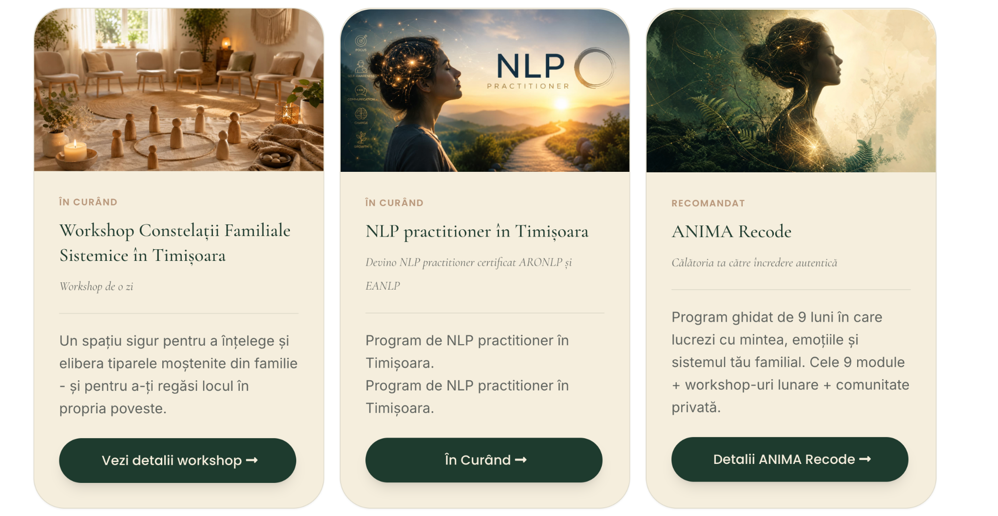 Captură reprezentativă Anima Healing Academy
