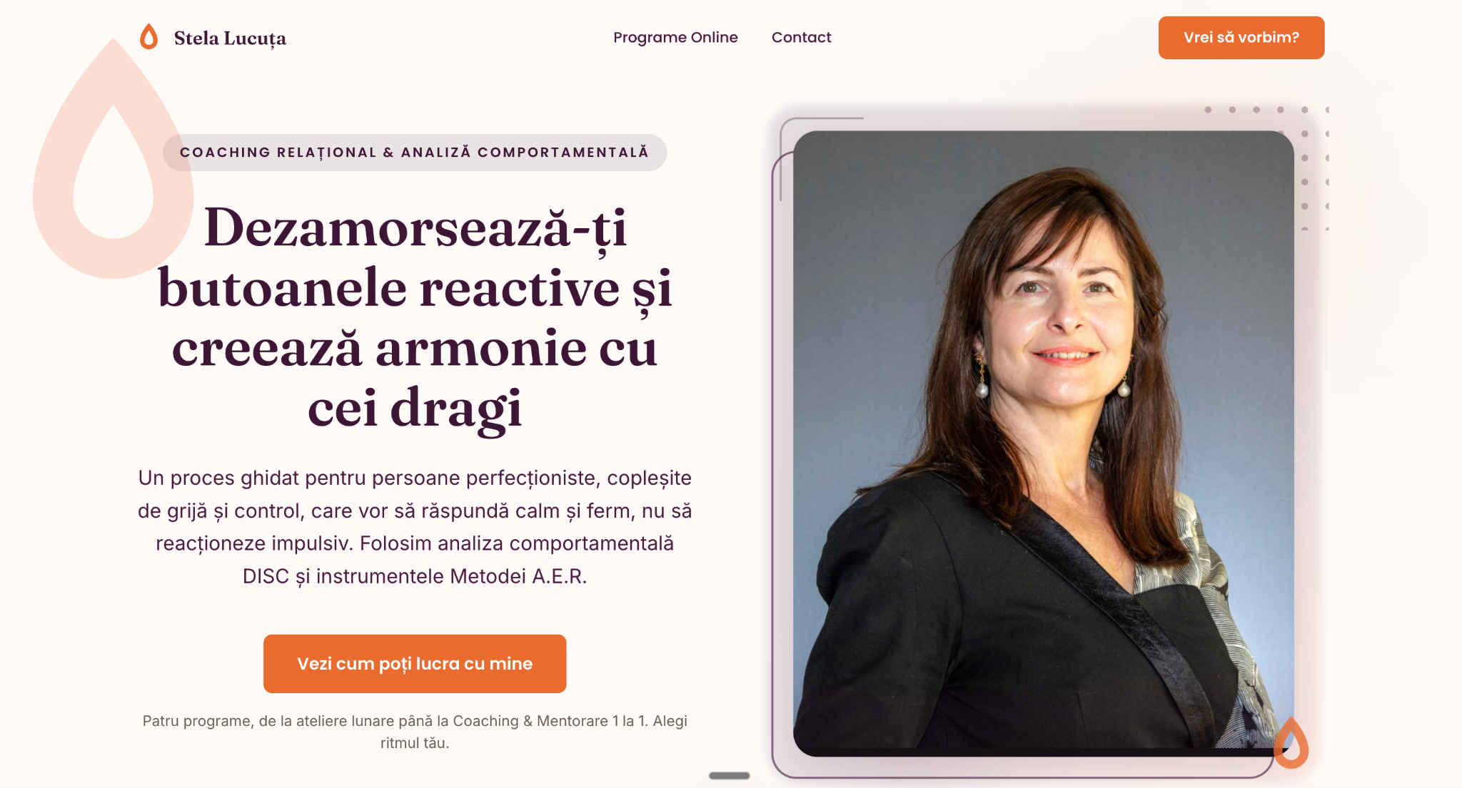 Captură reprezentativă Stela Lucuța Consulting